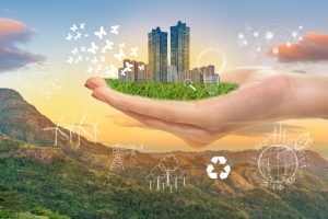 Green Revolution: How Energy Efficiency Laws Drive Sustainability